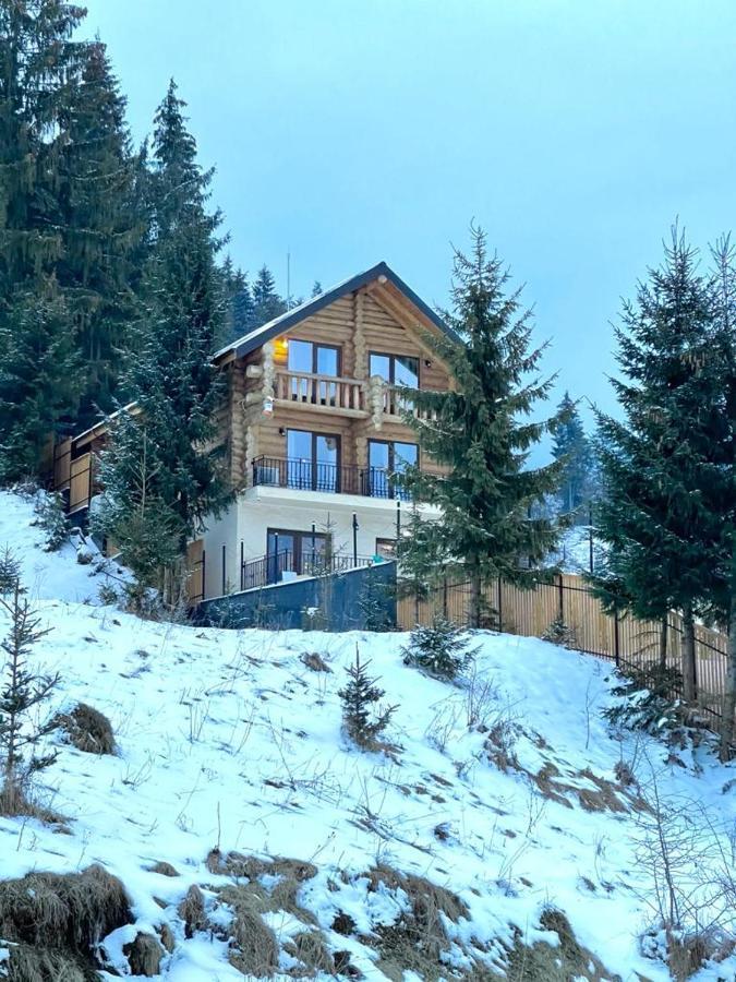 Chalet Du Lac Colibiţa 外观 照片