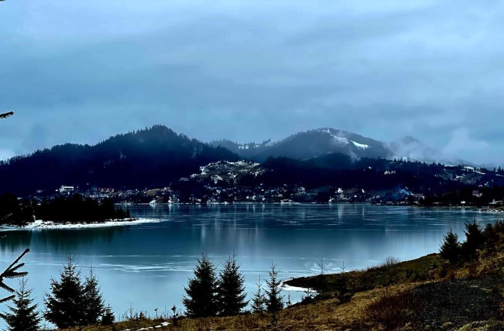 Chalet Du Lac Colibiţa 外观 照片